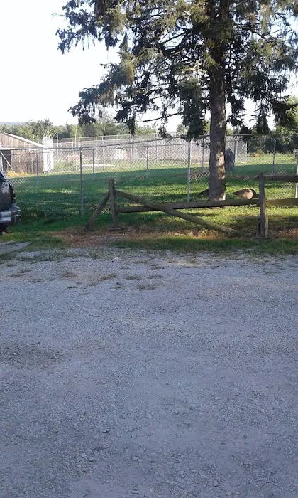 Camelot Veterinary Services 7