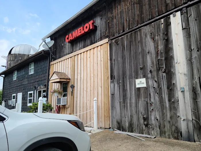 Camelot Veterinary Services 4