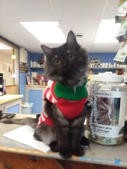 Camelot Veterinary Services 2