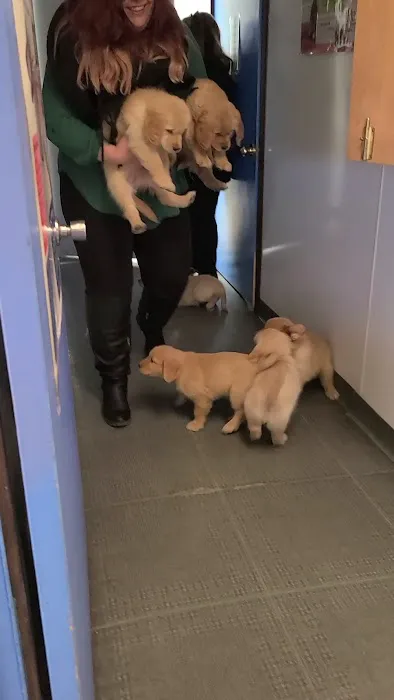 Camelot Veterinary Services 3