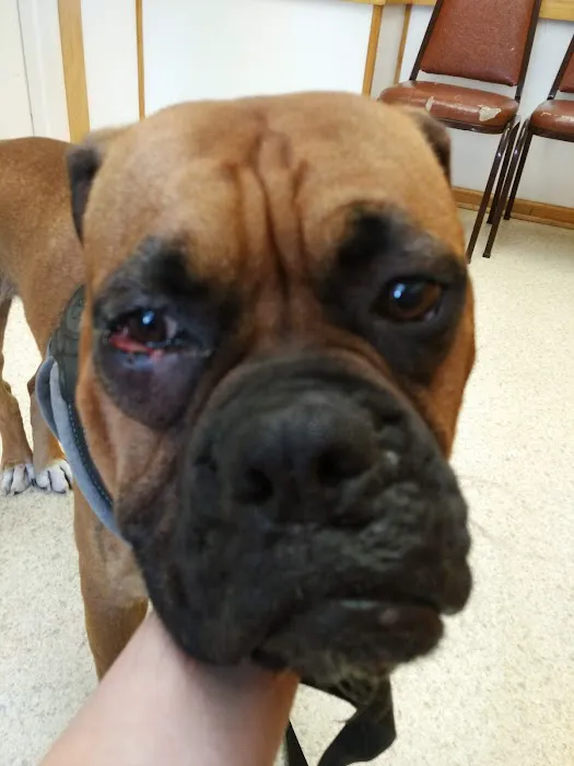 Grace Veterinary Services 8