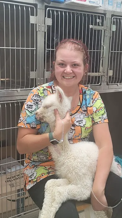 Braden Run Animal Hospital 5