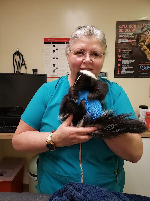Braden Run Animal Hospital 4