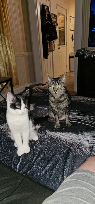 Catnip Acres Clinic 4