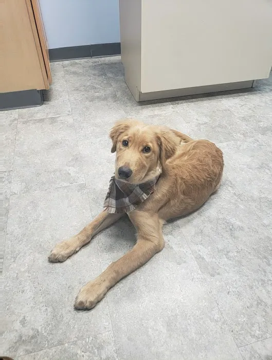 Waynesburg Animal Hospital 2