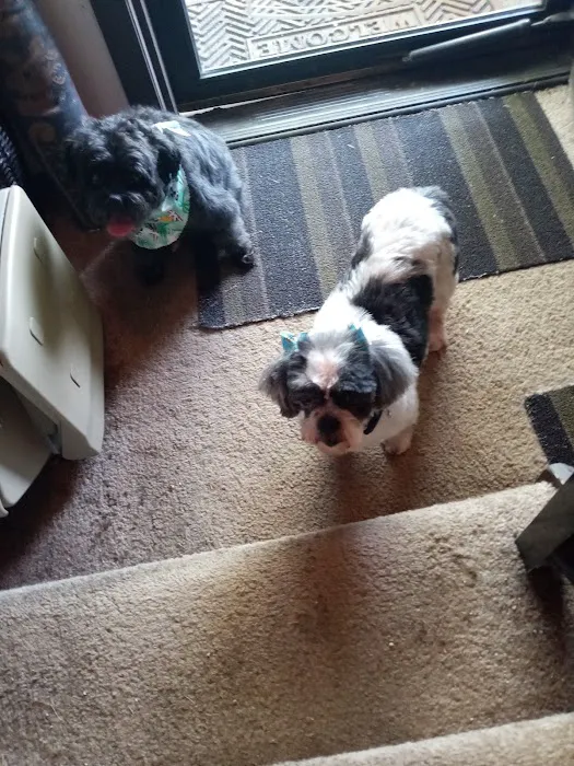 Waynesburg Animal Hospital 6