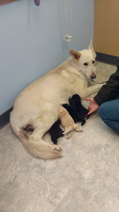 Waynesburg Animal Hospital 1