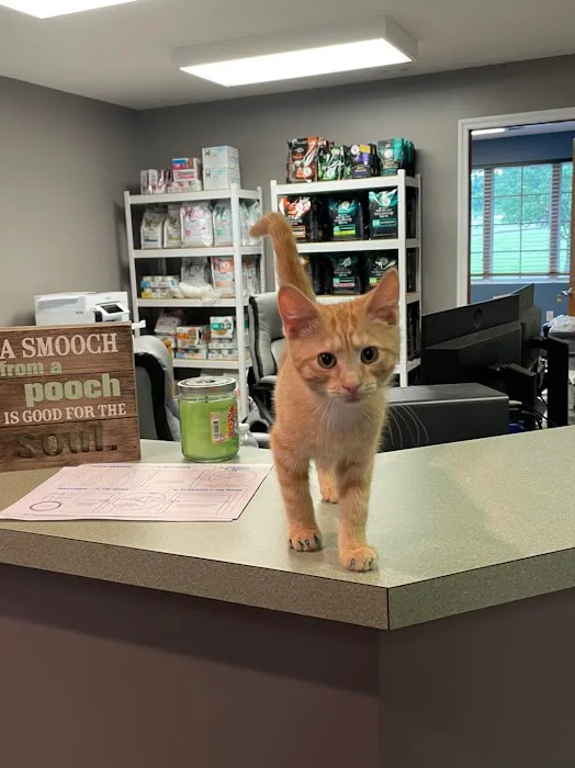 Copper Ridge Veterinary Clinic 4