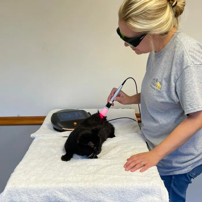 Copper Ridge Veterinary Clinic 9