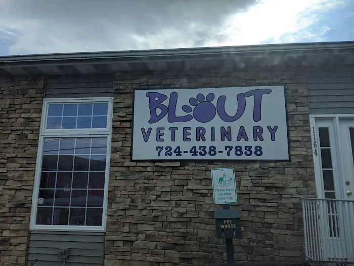 Blout Veterinary 6