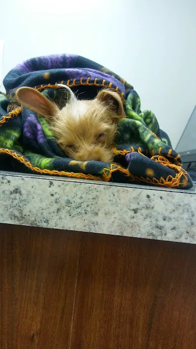4 Paws Veterinary Care Inc 10