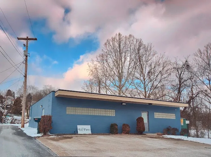 4 Paws Veterinary Care Inc 8