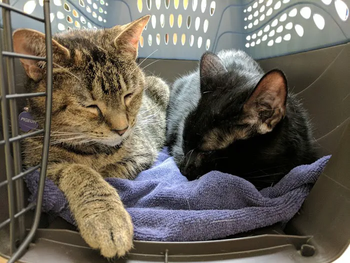 Banfield Pet Hospital 3