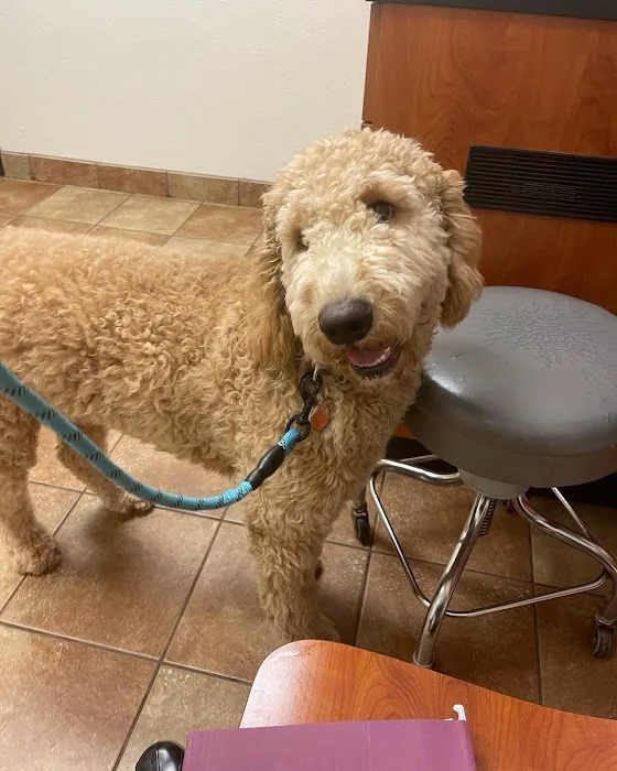 Banfield Pet Hospital 4