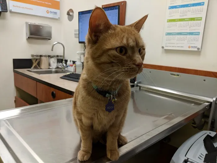 Banfield Pet Hospital 2