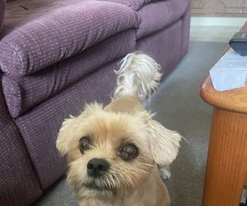 Banfield Pet Hospital