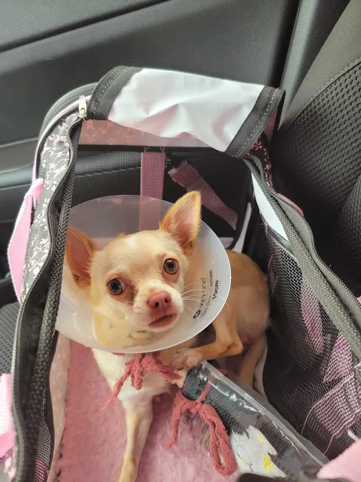 Banfield Pet Hospital 8
