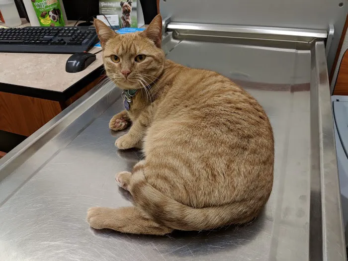 Banfield Pet Hospital 7