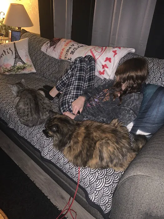 Heart + Paw 1