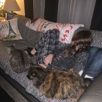 Heart + Paw ico