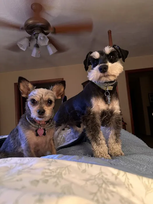 Pittsburgh East Animal Hospital 7