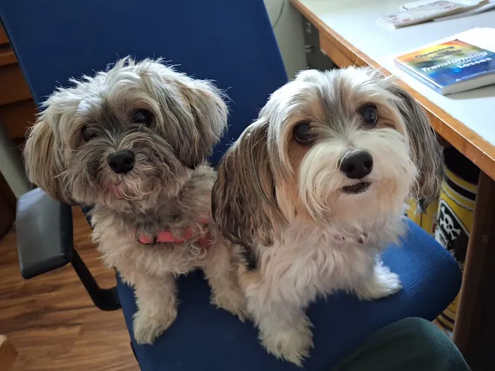 Pittsburgh East Animal Hospital 10