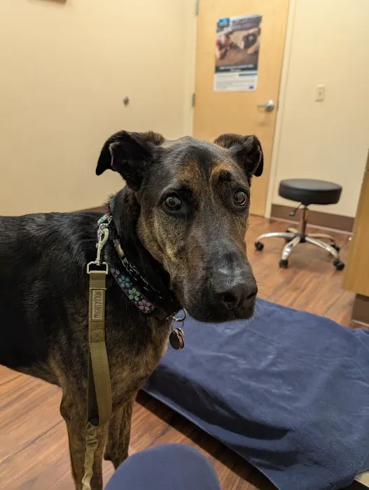 Murrysville Veterinary Associates 4