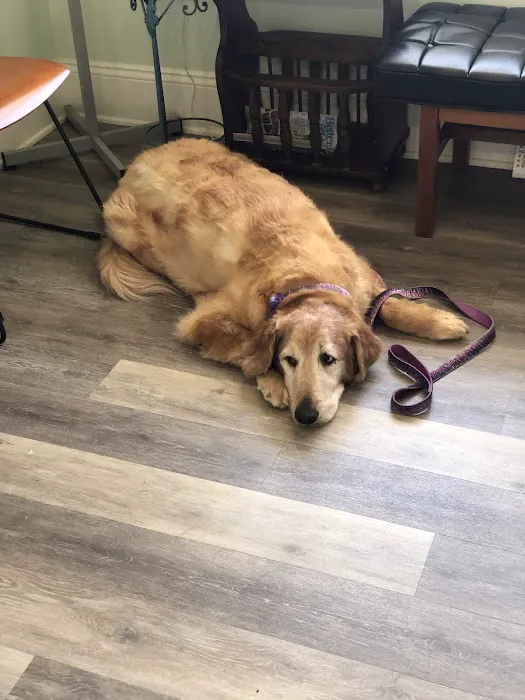 Green Hill Veterinary Care Ltd 5