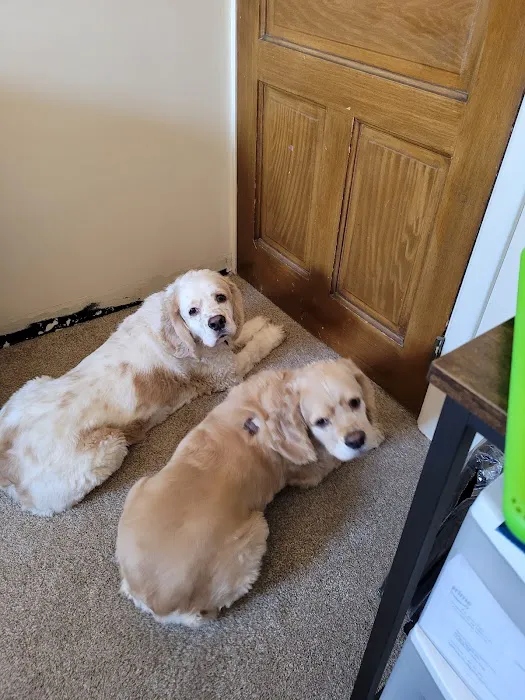 Mt Pleasant Animal Hospital 4