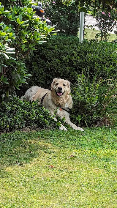 Mt Pleasant Animal Hospital 10