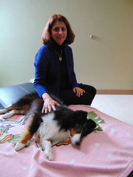 K. Vet Animal Care 5