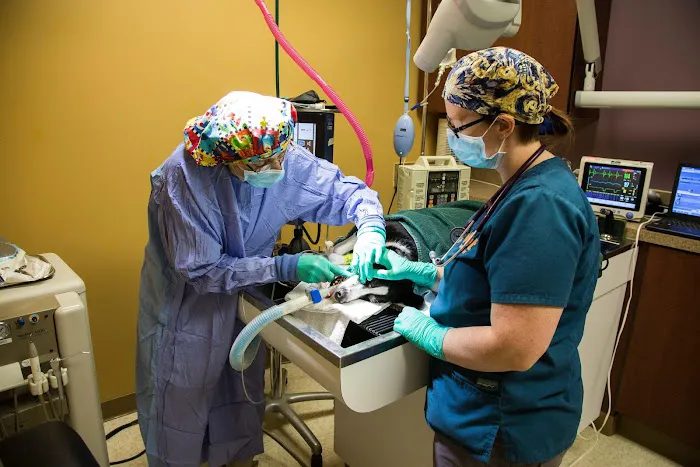 K. Vet Animal Care 1