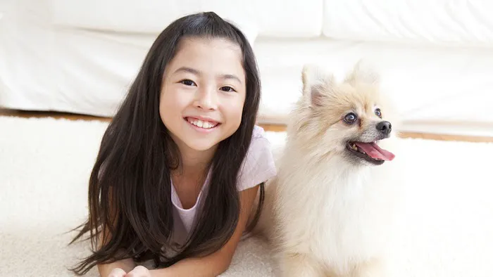 K. Vet Animal Care 7