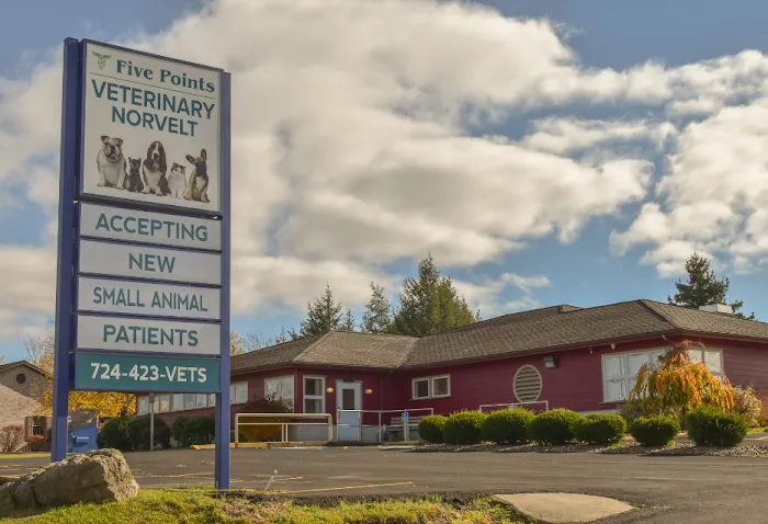 Five Points Veterinary Norvelt 3