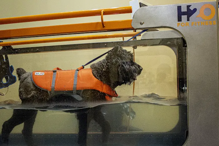 The Cabin Spa by K. Vet Animal Care 9