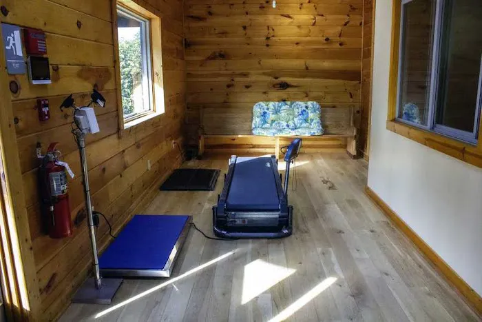 The Cabin Spa by K. Vet Animal Care 6