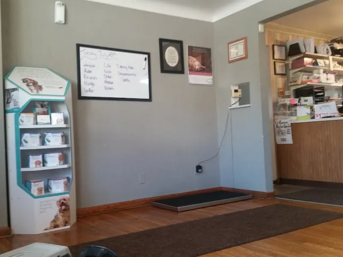 Top Notch Veterinary Clinic 5