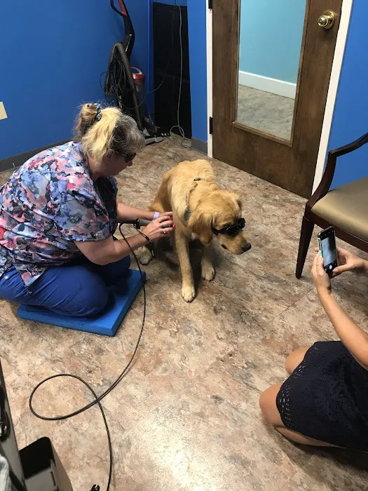 Holiday Park Animal Hospital 5