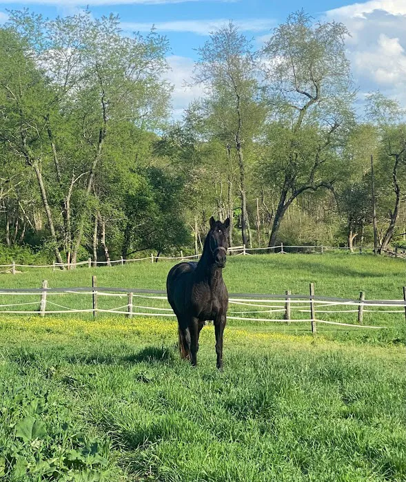 Fox Run Equine Center 1