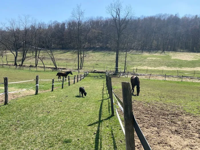 Fox Run Equine Center 5