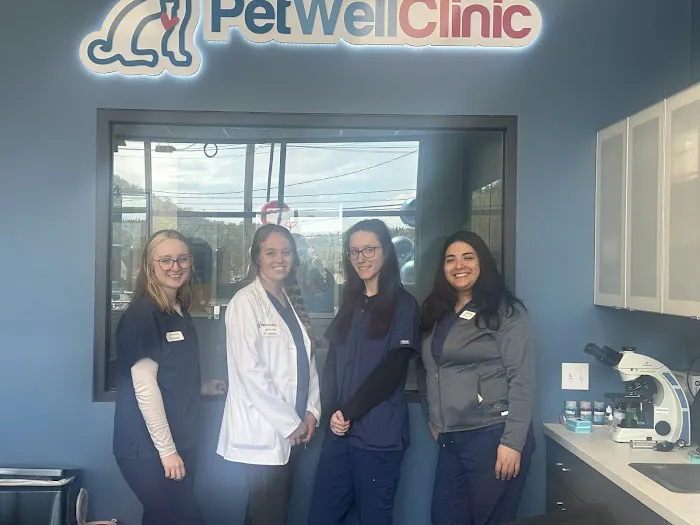 PetWellClinic - Plum 6