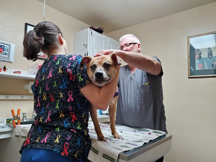 Pittsburgh East Animal Hospital 3