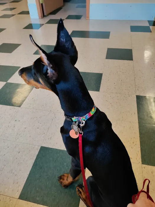 Pittsburgh East Animal Hospital 1