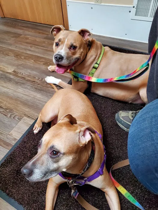 Pittsburgh East Animal Hospital 4