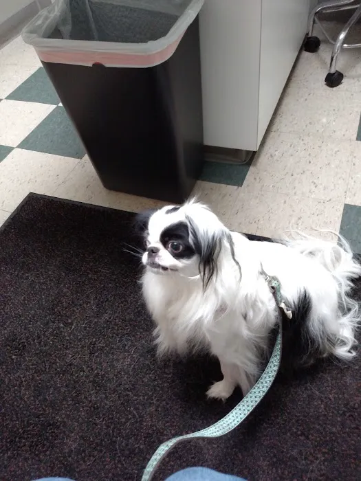 Pittsburgh East Animal Hospital 9