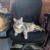 Fredonia Animal Hospital: Jon D. Redfield, DVM ico