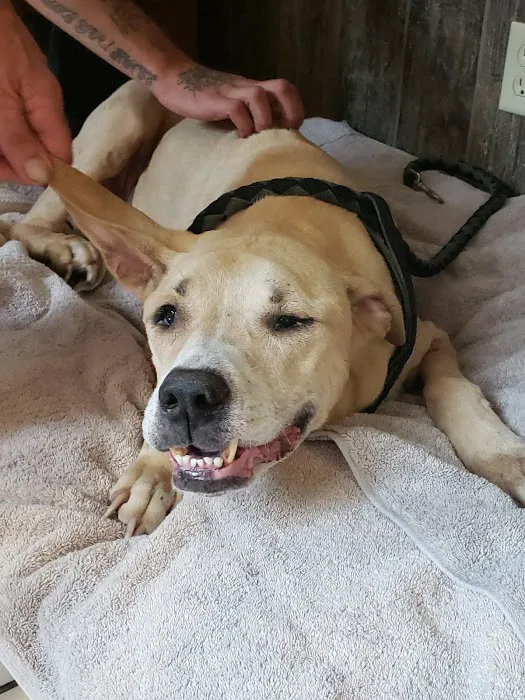 Fredonia Animal Hospital 8