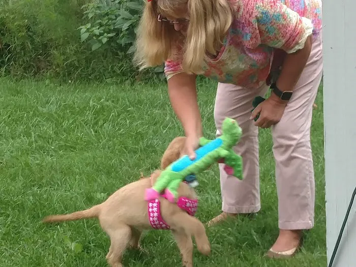 Fredonia Animal Hospital 9