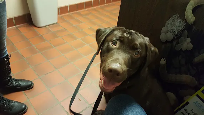 Dunkirk Animal Clinic 9