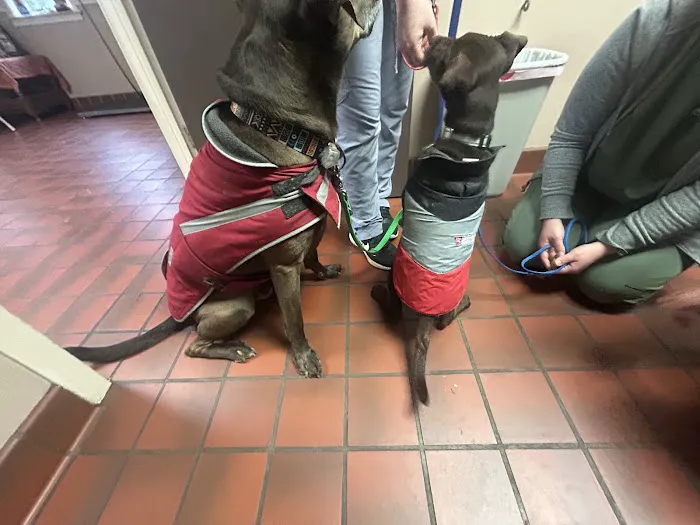 Dunkirk Animal Clinic 10